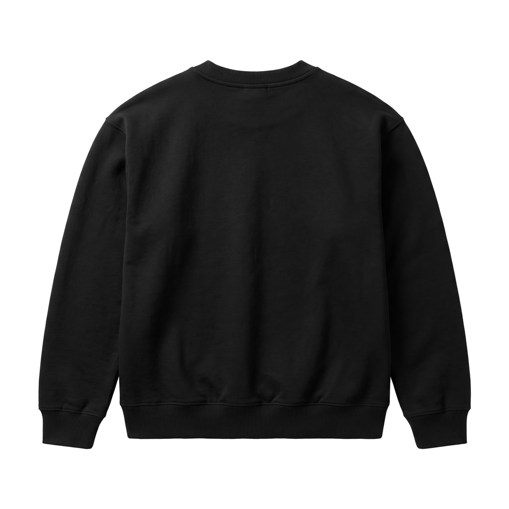 Aryamehr MIGA Sweatshirt Faded Black, 440 g/m² Oversize – Rückseite ohne Druck, Produktfoto